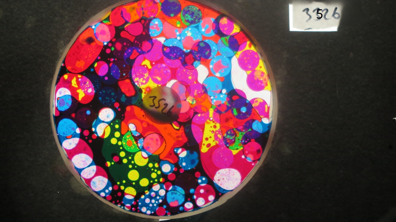 BV3526 bubble vision oil wheel